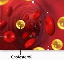 Cholesterol là gì?